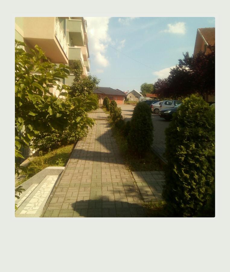 Studio Dunja Vrnjacka Banja Exterior photo